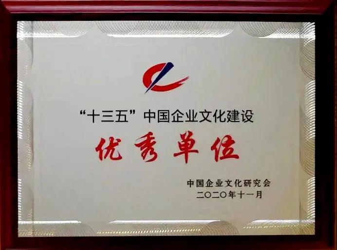 中辰电缆在中外企业文化2020杭州峰会上获两项大奖2.jpg