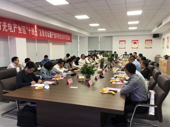 苏州市光电产业链“十四五”发展论坛暨产业30强企业合作交流会顺利召开5.JPG