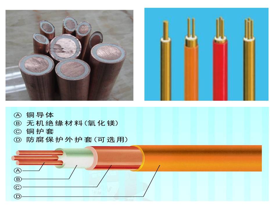 孙卓洋文章图1.jpg
