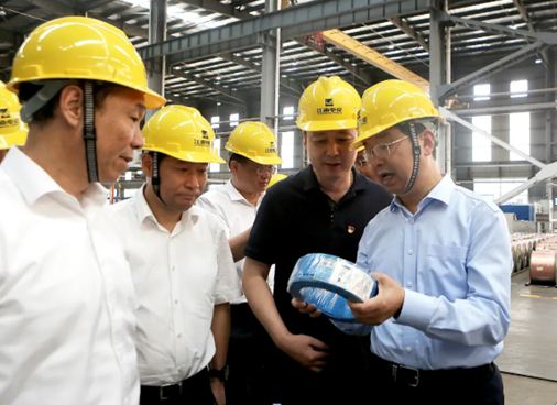 宜兴市委书记沈建等赴江南电缆.JPG