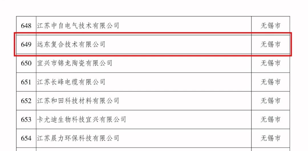 远东复合技术喜获“江苏省民营科技企业”称号2.jpg