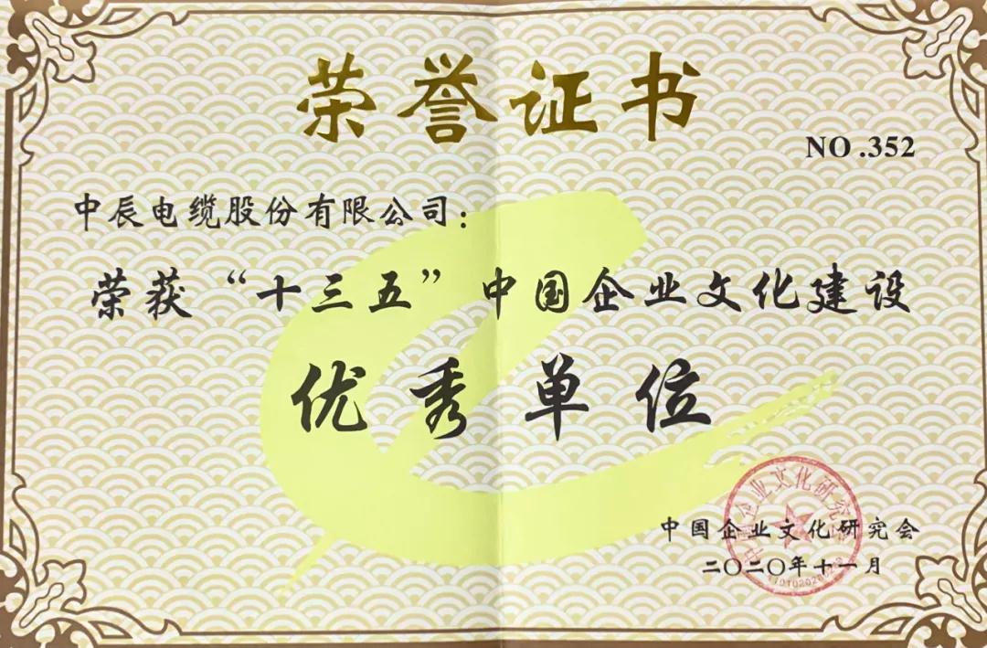 中辰电缆在中外企业文化2020杭州峰会上获两项大奖3.jpg