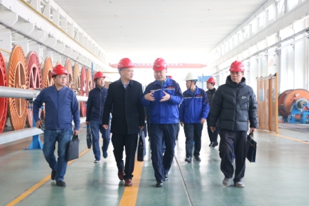 山东省“四进”攻坚行动派驻东营中心组一行莅临万达海缆调研指导.jpg