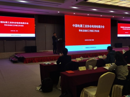 第二届导体及线材专家委员会成立暨技术交流会召开 高总发言.jpg