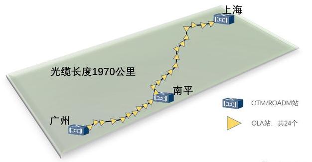 长飞.jpeg