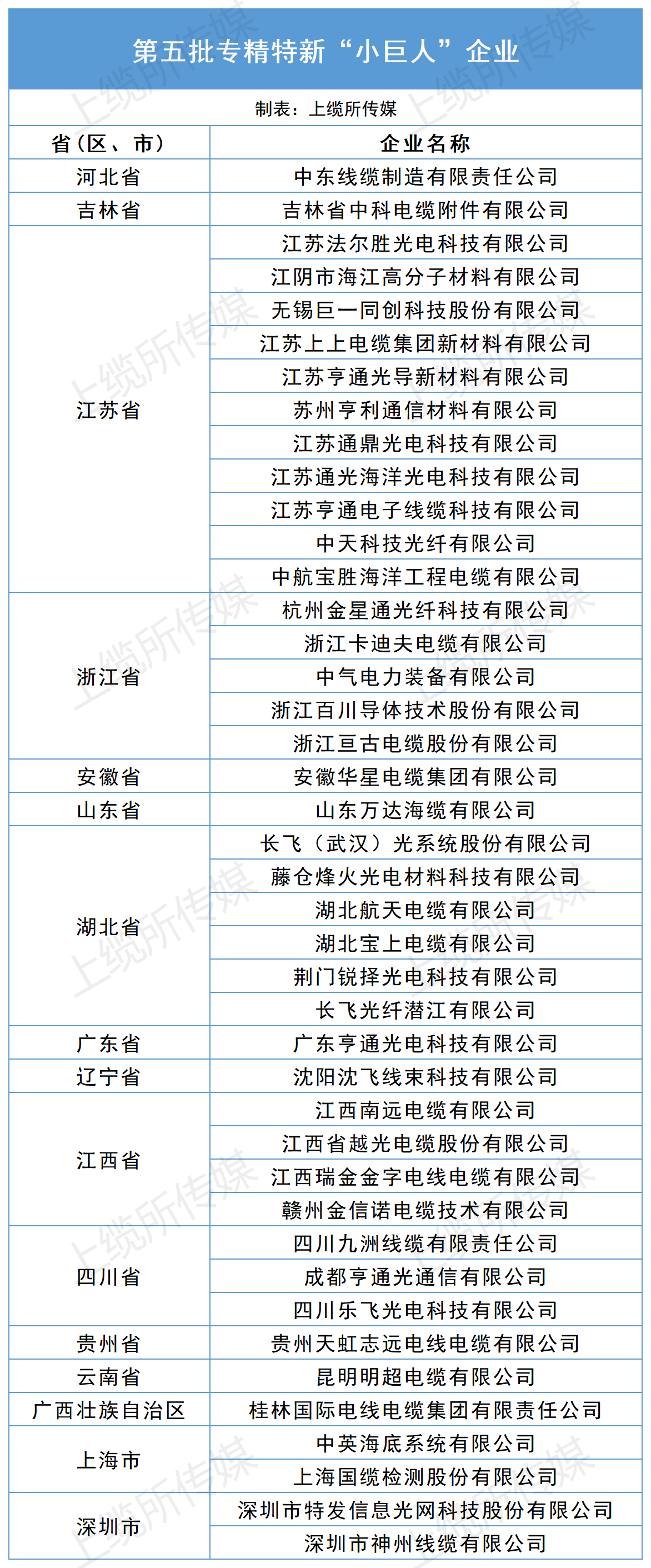 线缆企业小巨人榜单_Sheet1.png