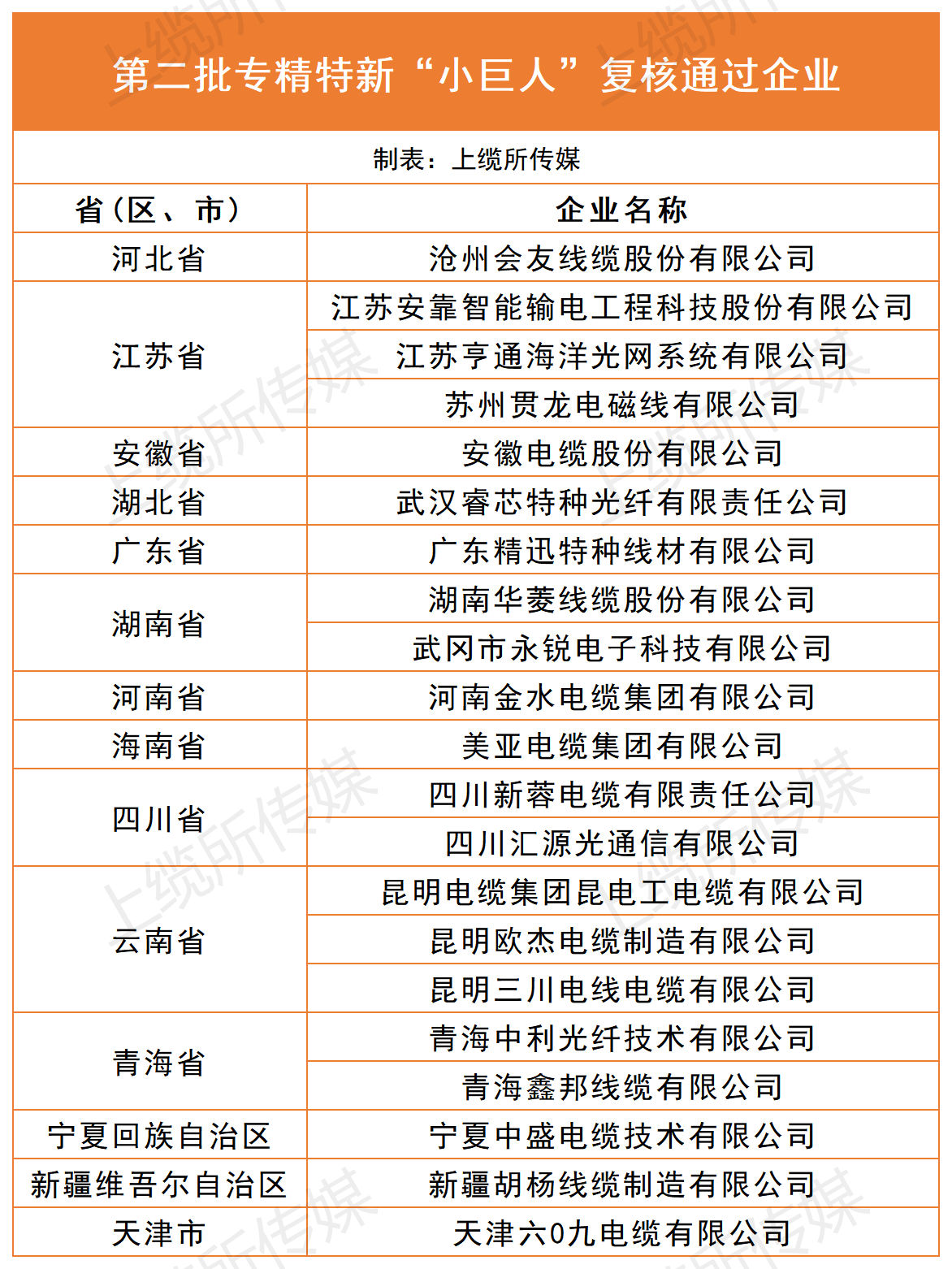 线缆企业小巨人榜单_Sheet1 (2).png