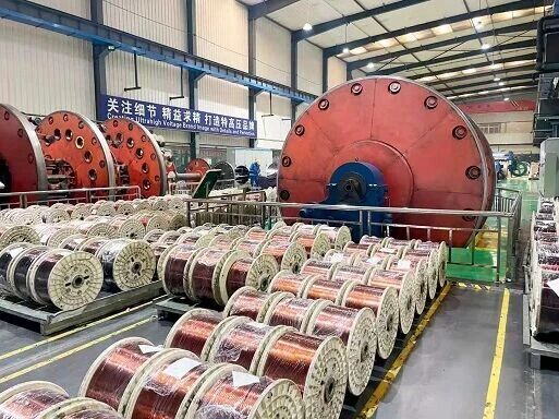 微信图片_20251212153558.jpg 微信图片_20251212153558.jpg