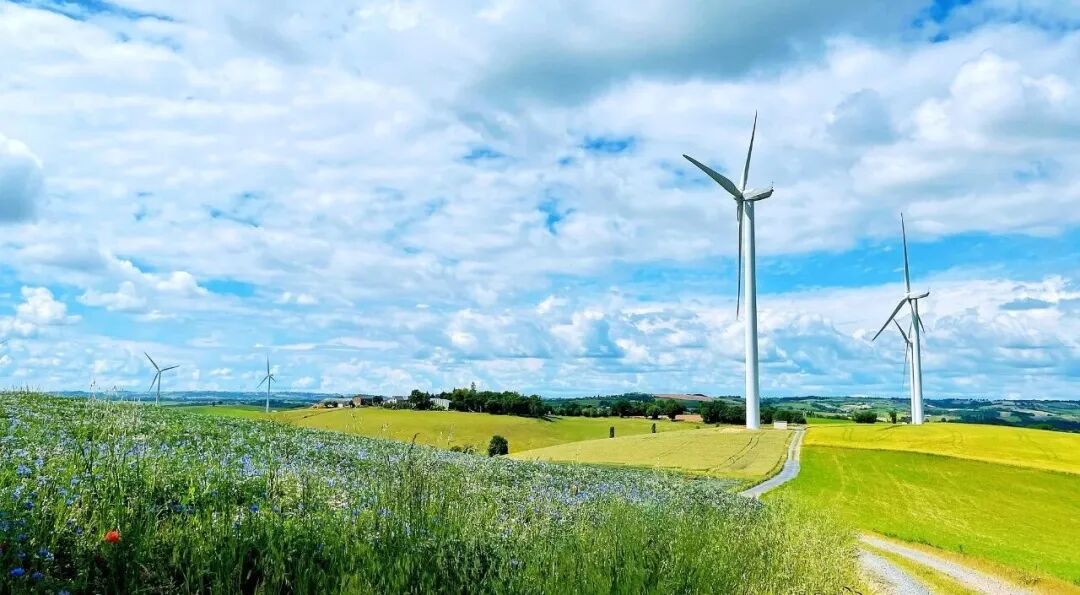 17738866959411965.jpeg 17738866959411965.jpeg