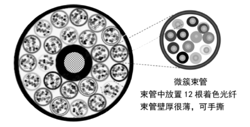 图10.png 图10.png